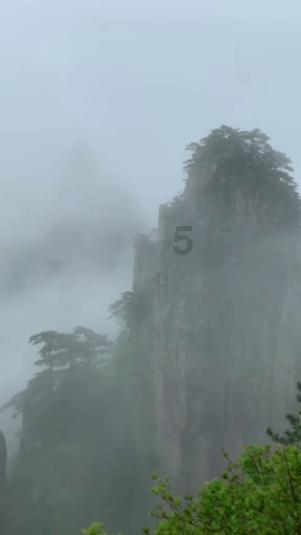 饥饿的松鼠救援